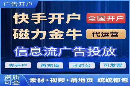 竞价广告的投放时机与频次选择——基于案例的探讨